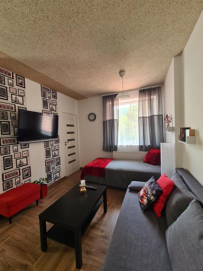 Apartamenty Katarina Ustrzyki Dolne Dış mekan fotoğraf